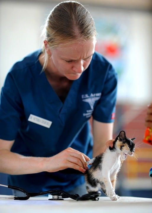 avantage du métier soigneur animalier