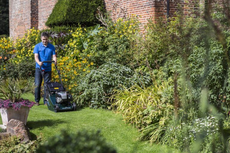 Entretien jardin