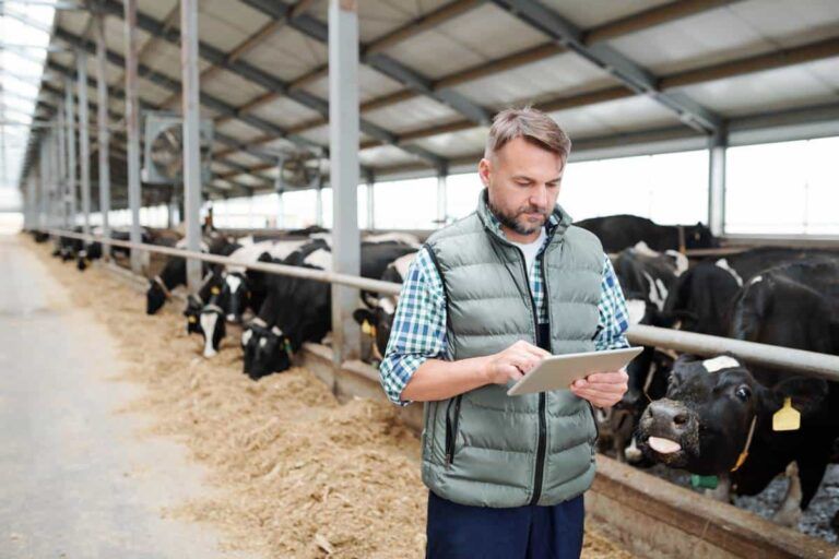 Les différents types de sociétés agricoles et leurs devoirs