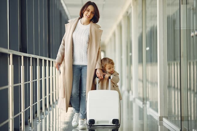 valise cabine style